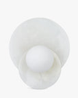 Orbe